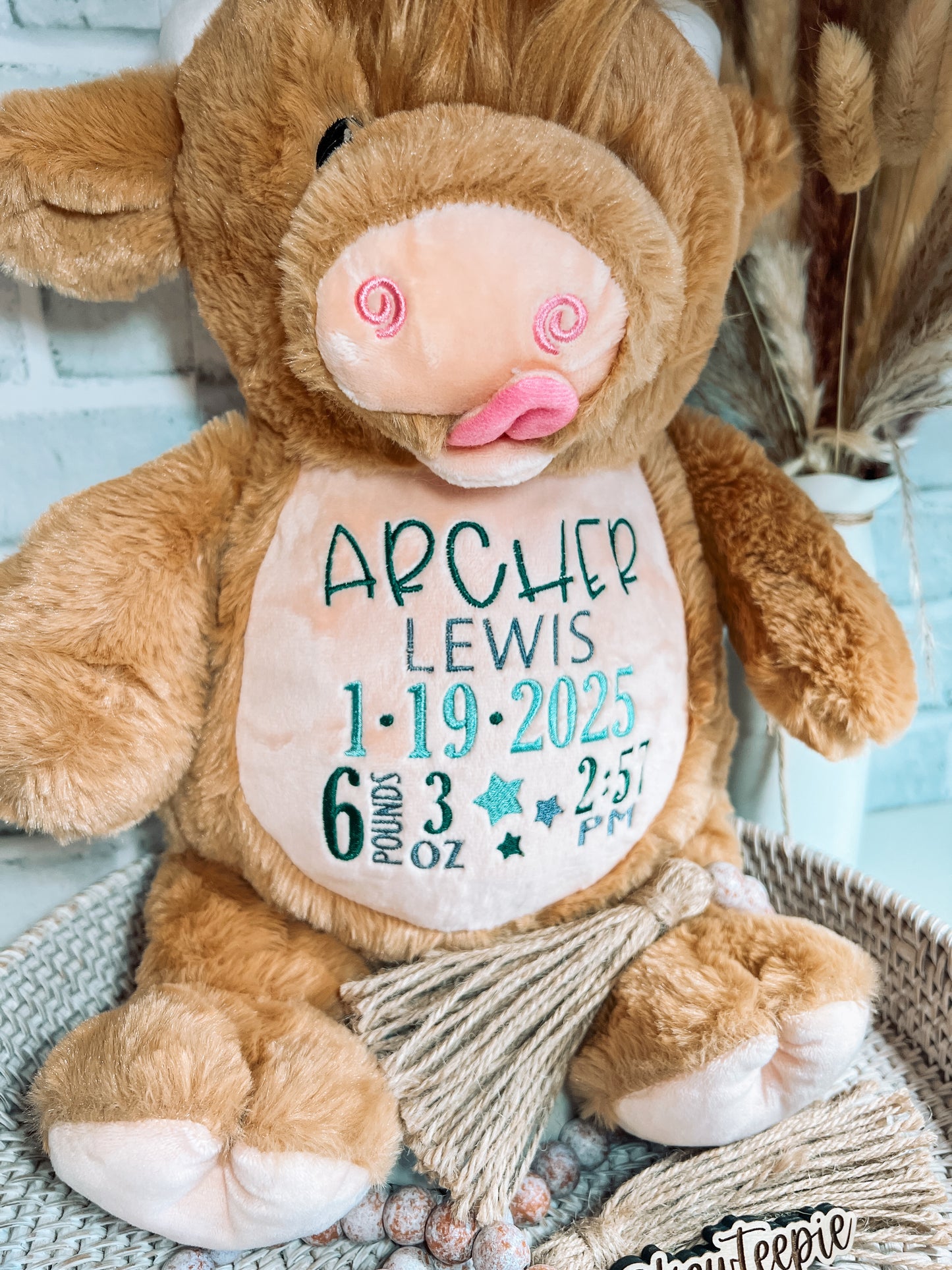 Embroidered Birth Stats Stuffed Animal