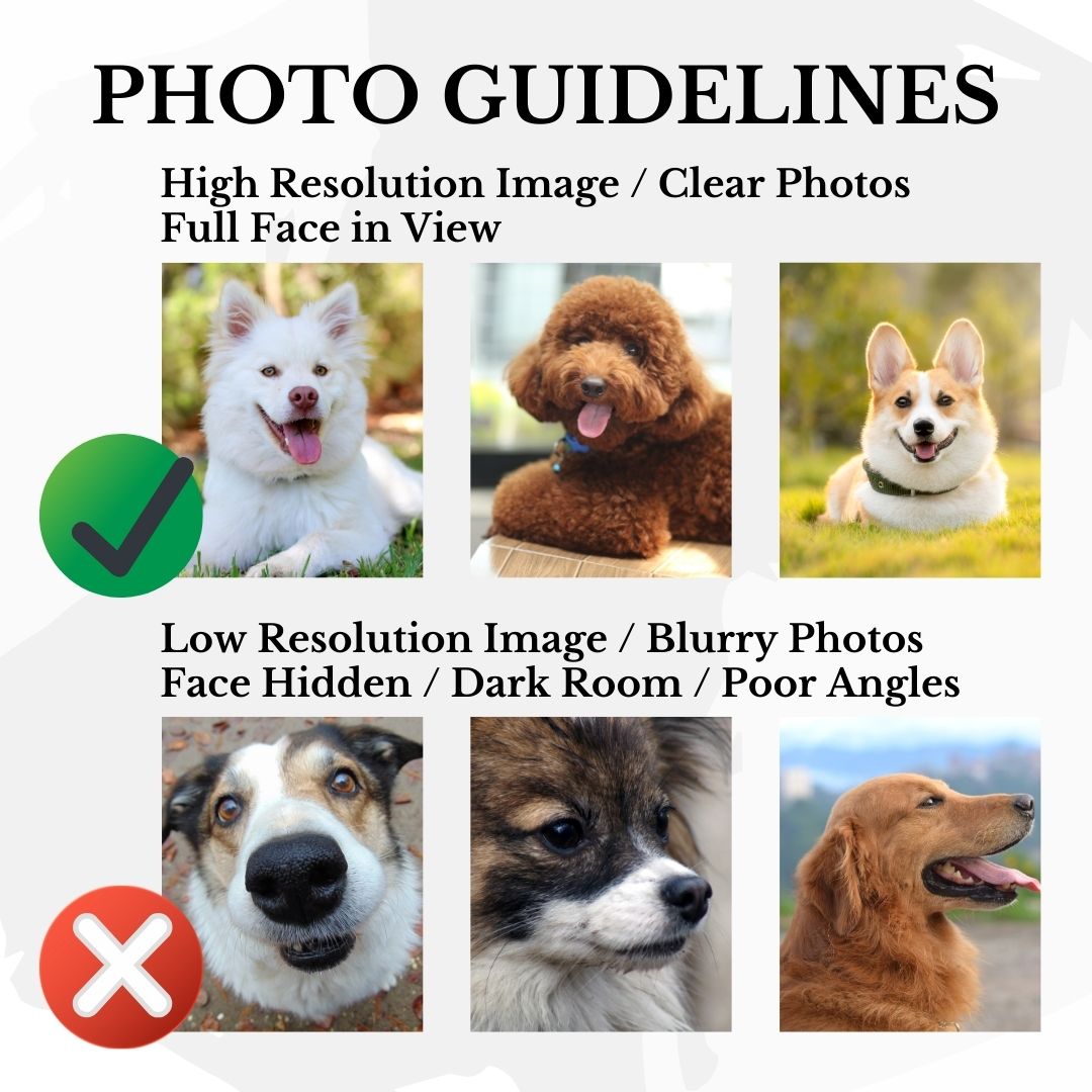 Custom Photo Dog Drawing Chest | Embroidered Apparel