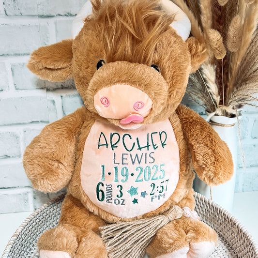 Embroidered Birth Stats Stuffed Animal